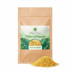 Pollen de palmier