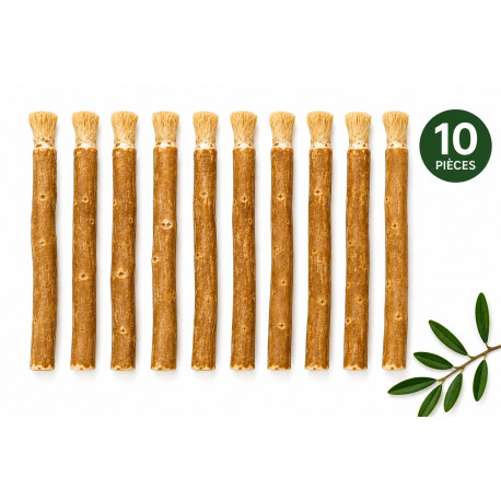 Siwak naturel sous forme de bâton, lot de 10 siwaks