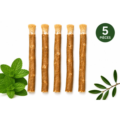 Siwak à la menthe (siwak, miswak, bâton d’arak)