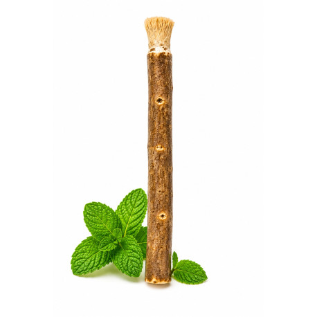 Siwak à la menthe (siwak, miswak, bâton d’arak)