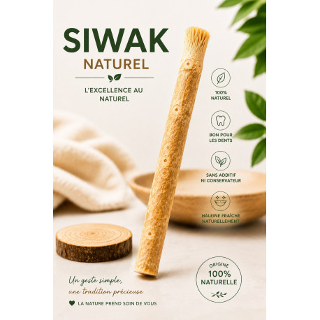 Siwak sous forme de bâton (siwak, miswak, bâton d’arak)