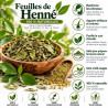 Feuille de Henné 