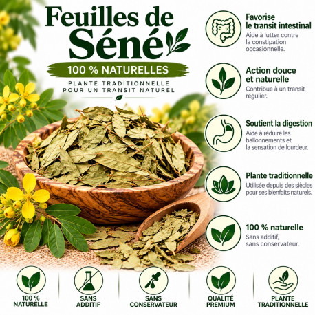 Feuille de séné 