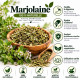 La Marjolaine en feuille - 50g
