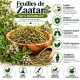 Tisane Anis Vert Semence Entière