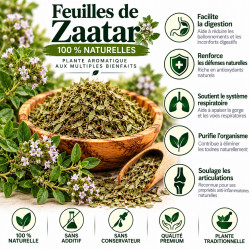Tisane Anis Vert Semence Entière