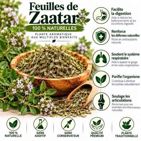 Tisane Anis Vert Semence Entière