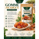 Gomme arabique 